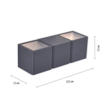 Paul Neuhaus 9658-13 - LED Spoljna zidna lampa MARCEL 2xLED/4W/230V IP54
