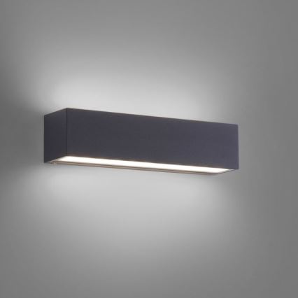 Paul Neuhaus 9675-13 - LED Spoljna zidna lampa ROBERT 2xLED/9W/230V IP65