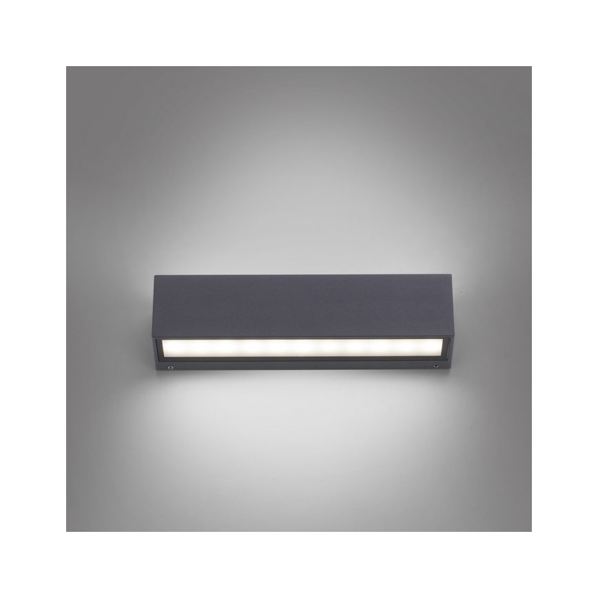 Paul Neuhaus 9675-13 - LED Spoljna zidna lampa ROBERT 2xLED/9W/230V IP65