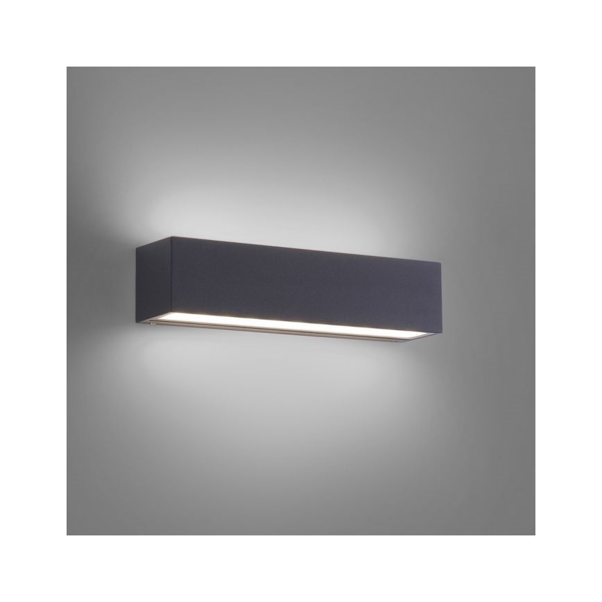 Paul Neuhaus 9675-13 - LED spoljna zidna svetiljka ROBERT 2xLED/9W/230V IP65