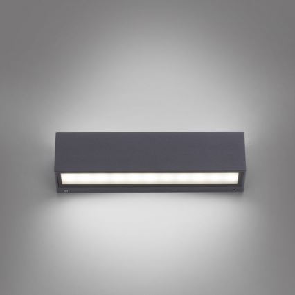 Paul Neuhaus 9675-13 - LED spoljna zidna svetiljka ROBERT 2xLED/9W/230V IP65