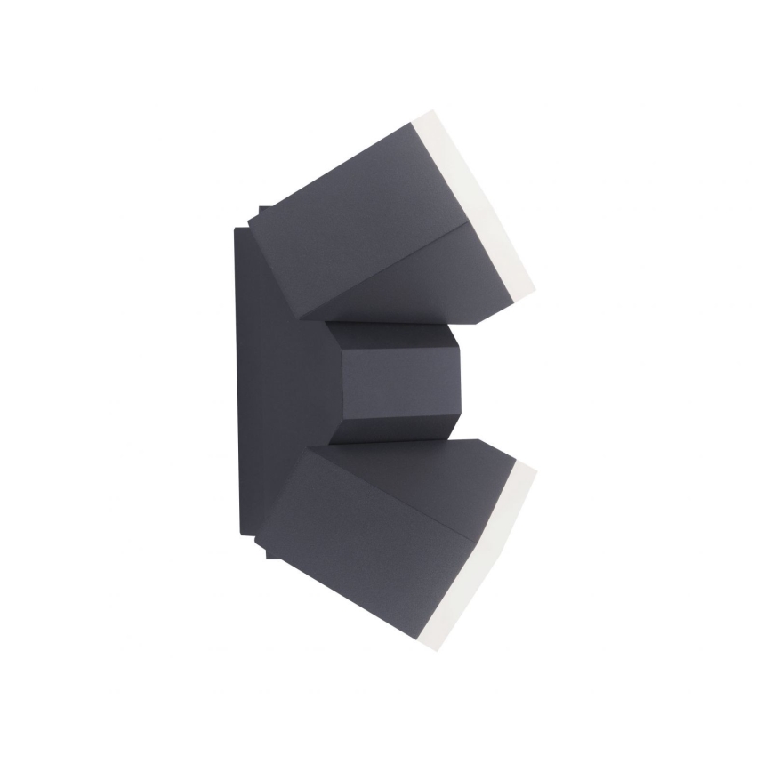 Paul Neuhaus 9722-13 - LED spoljašnja zidna svetiljka RYAN 2xLED/5W/230V IP54