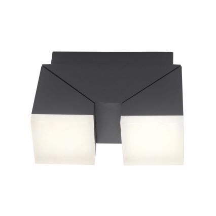 Paul Neuhaus 9722-13 - LED spoljašnja zidna svetiljka RYAN 2xLED/5W/230V IP54