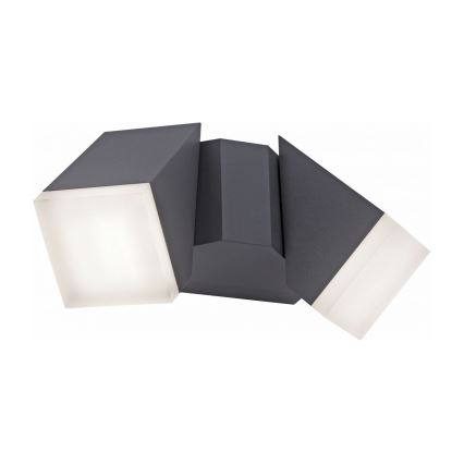 Paul Neuhaus 9722-13 - LED spoljašnja zidna svetiljka RYAN 2xLED/5W/230V IP54