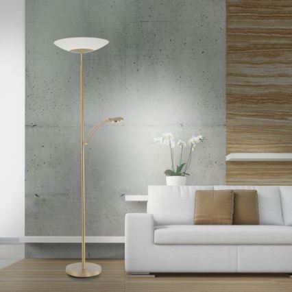 Paul Neuhaus - 655-60 - LED Prigušiva podna lampa ALFRED 1xLED/28W/230V+1xLED/4W/230V mjed
