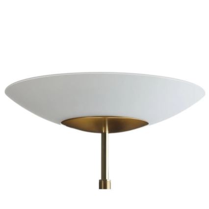 Paul Neuhaus - 655-60 - LED Prigušiva podna lampa ALFRED 1xLED/28W/230V+1xLED/4W/230V mjed