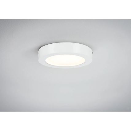 Paulmann 70642 - LED/12,5W Plafonjera LUNAR 230V pr. 22,5 cm bela