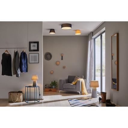 Paulmann 70949 - 1xE14/20W Plafonjera MEA 230V