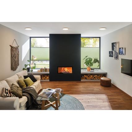 Paulmann 70983 - LED/22W Stropna svetiljka ABIA 230V