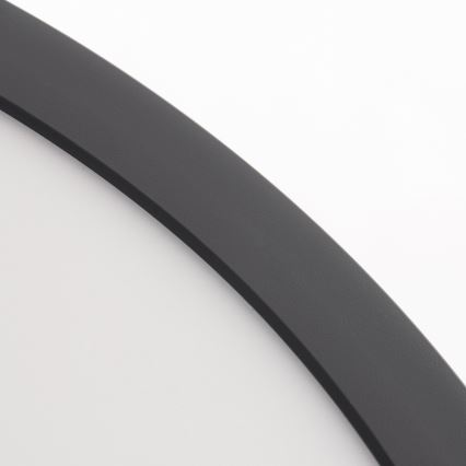 Paulmann 70984 - LED/22W plafonsko svetlo ABIA 230V