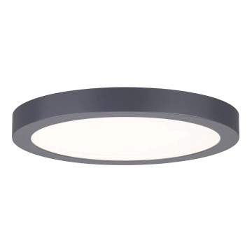 Paulmann 70988 - LED/22W plafonsko svetlo ABIA 230V antracit