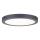 Paulmann 70988 - LED/22W plafonsko svetlo ABIA 230V antracit