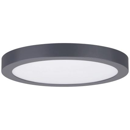 Paulmann 70988 - LED/22W plafonsko svetlo ABIA 230V antracit