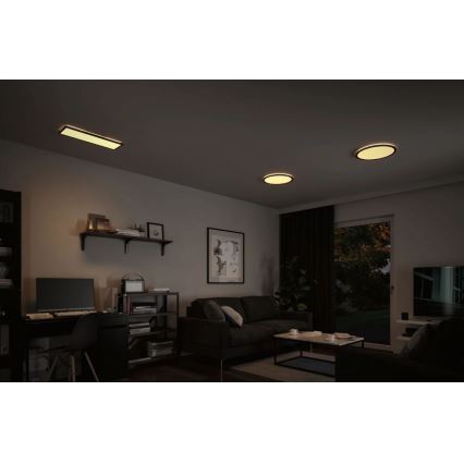 Paulmann 70999 - LED/22W Prigušivi panel ATRIA 230V 3000K pr. 42 cm crno