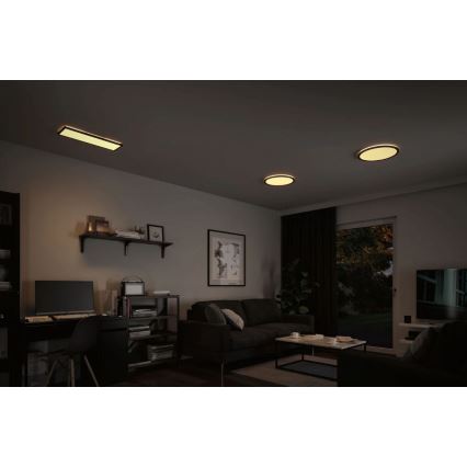 Paulmann 71003 - LED/22W Prigušivi panel ATRIA 230V 3000K 20x58 cm crno