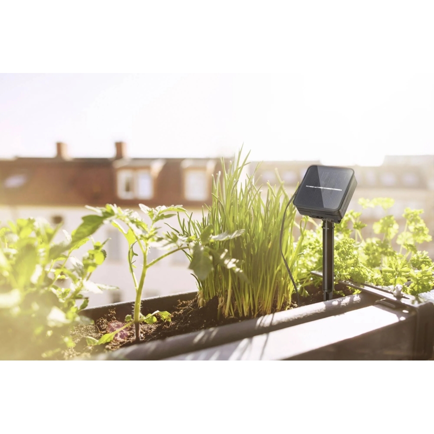 Paulmann 78896 - LED/0,3W IP44 solarna traka 3m 1,2V 1000 mAh