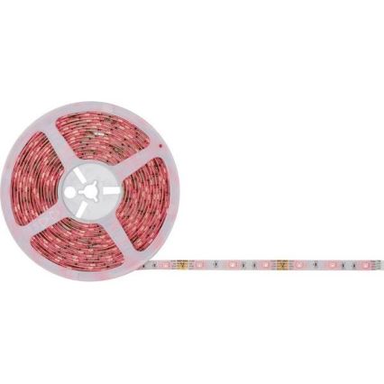 Paulmann 78979 - LED RGB/26W prigušiva traka SIMPLED 7,5m 230V + daljinski upravljač