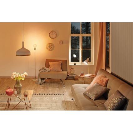 Paulmann 79615 - 1xE27/20W Noga lampe NORDIN 230V