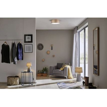 Paulmann 79687 - 3xE27/20W Plafonjera NEORDIC LISKA 230V Orah