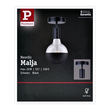 Paulmann 79760 - Plafonjera HALDOR 1xE27/20W/230V