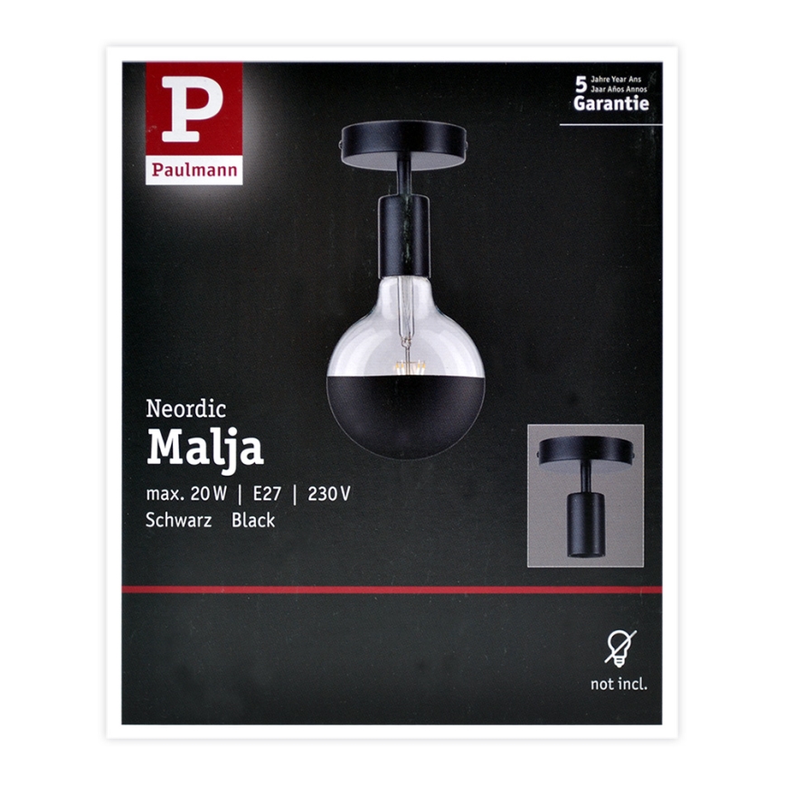 Paulmann 79760 - Plafonjera HALDOR 1xE27/20W/230V