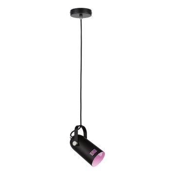 Paulmann 79766 - 1xE27/15W Luster na sajli LAVEA 230V crna