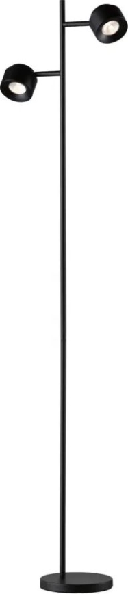 Paulmann 79775 - 2xLED/3W Prigušiva podna lampa PURIK PANE 230V