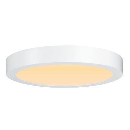 Paulmann 79799 - LED/19W Plafonjera CARPO 230V 2300/2500/3000K
