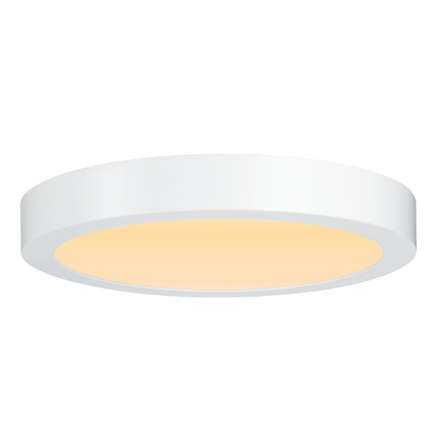 Paulmann 79799 - LED/19W Plafonjera CARPO 230V 2300/2500/3000K