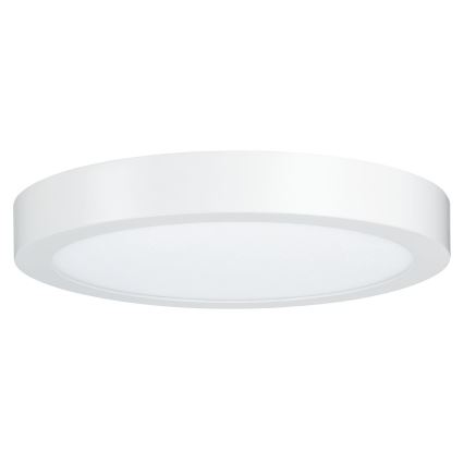 Paulmann 79799 - LED/19W Plafonjera CARPO 230V 2300/2500/3000K