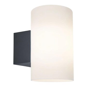 Paulmann 94186 - 1xE27/15W IP54 Spoljašnja zidna lampa TUBE 230V