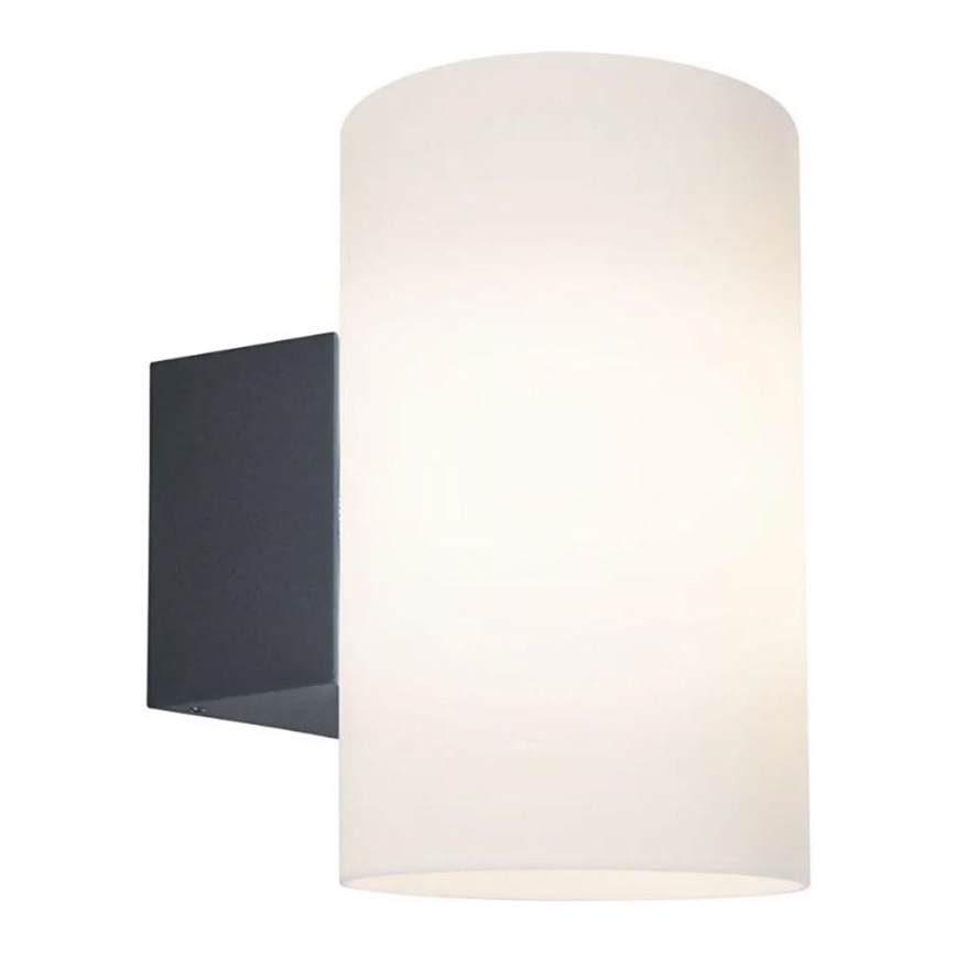 Paulmann 94186 - 1xE27/15W IP54 Spoljašnja zidna lampa TUBE 230V