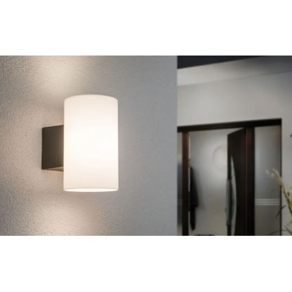 Paulmann 94186 - 1xE27/15W IP54 Spoljašnja zidna lampa TUBE 230V