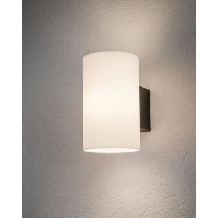 Paulmann 94186 - 1xE27/15W IP54 Spoljašnja zidna lampa TUBE 230V