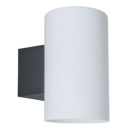 Paulmann 94186 - 1xE27/15W IP54 Spoljašnja zidna lampa TUBE 230V