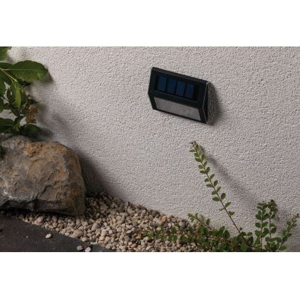 Paulmann 94234 - LED/0,05W IP44 Spoljašnja solarna lampa sa senzorom DAYTON 1,2V 400 mAh