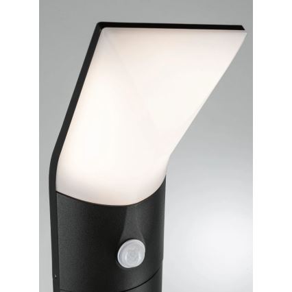 Paulmann 94403 - LED/10W IP44 Spoljašnja lampa sa senzorom ADYA 230V