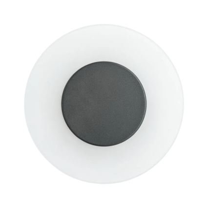 Paulmann 94409 - LED/4W IP44 Spoljašnja zidna lampa CIRCEA 230V