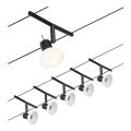 Paulmann 94450 - Set 5xGU5,3/10W Reflektorska lampa za šinski sastav SHEELA 230V crno