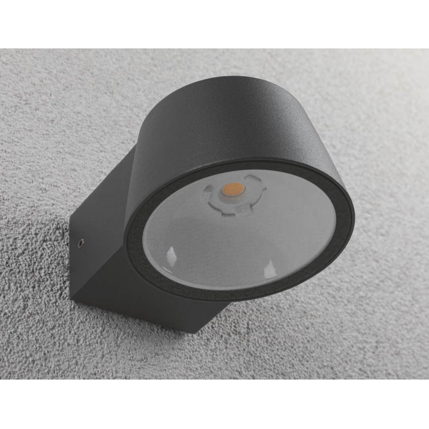 Paulmann 94452 - LED/6W IP44 Spoljašnja zidna lampa CAPEA 230V