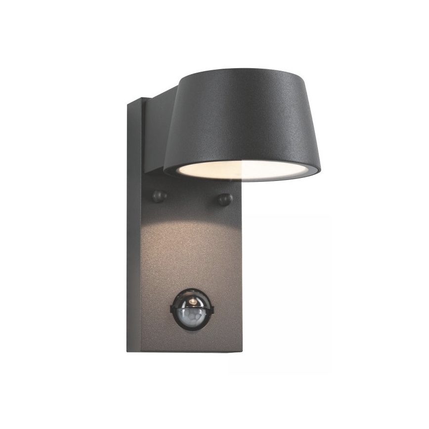 Paulmann 94453 - LED/6W IP44 Spoljašnje zidno svetlo sa senzorom CAPEA 230V