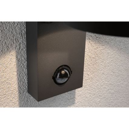 Paulmann 94453 - LED/6W IP44 Spoljašnje zidno svetlo sa senzorom CAPEA 230V