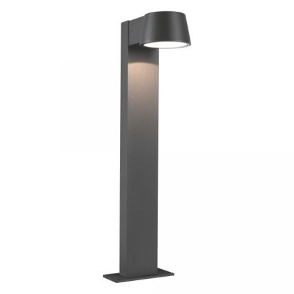 Paulmann 94454 - LED/6W IP44 Spoljašnja lampa CAPEA 230V