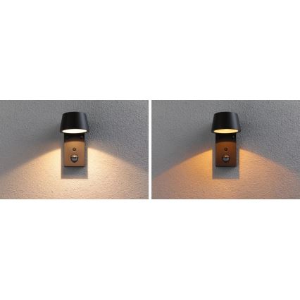 Paulmann 94714 - LED/6W IP44 Spoljašnja zidna lampa sa senzorom CAPERA 230V 2200/3000K