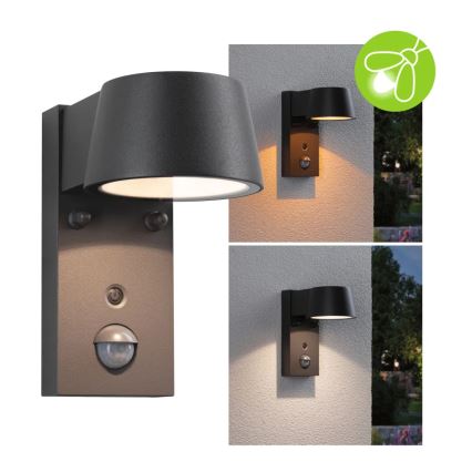 Paulmann 94714 - LED/6W IP44 Spoljašnja zidna lampa sa senzorom CAPERA 230V 2200/3000K