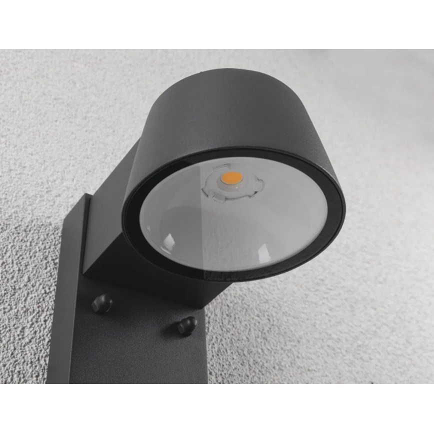 Paulmann 94714 - LED/6W IP44 Spoljašnja zidna lampa sa senzorom CAPERA 230V 2200/3000K
