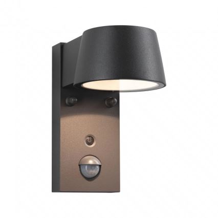 Paulmann 94714 - LED/6W IP44 Spoljašnja zidna lampa sa senzorom CAPERA 230V 2200/3000K