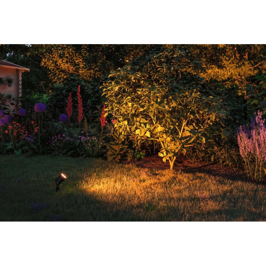 Paulmann 94731 - LED/4,3W IP65 Spoljašnja lampa SPOT 230V