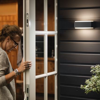 Philips - Prigušiva spoljašnja svetiljka 2xLED/4,5W IP44