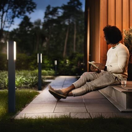 Philips - LED spoljašnja svetiljka 2xLED/4,5W/230V IP44